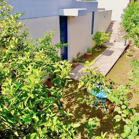 Beta Minivilla By Dadovillas